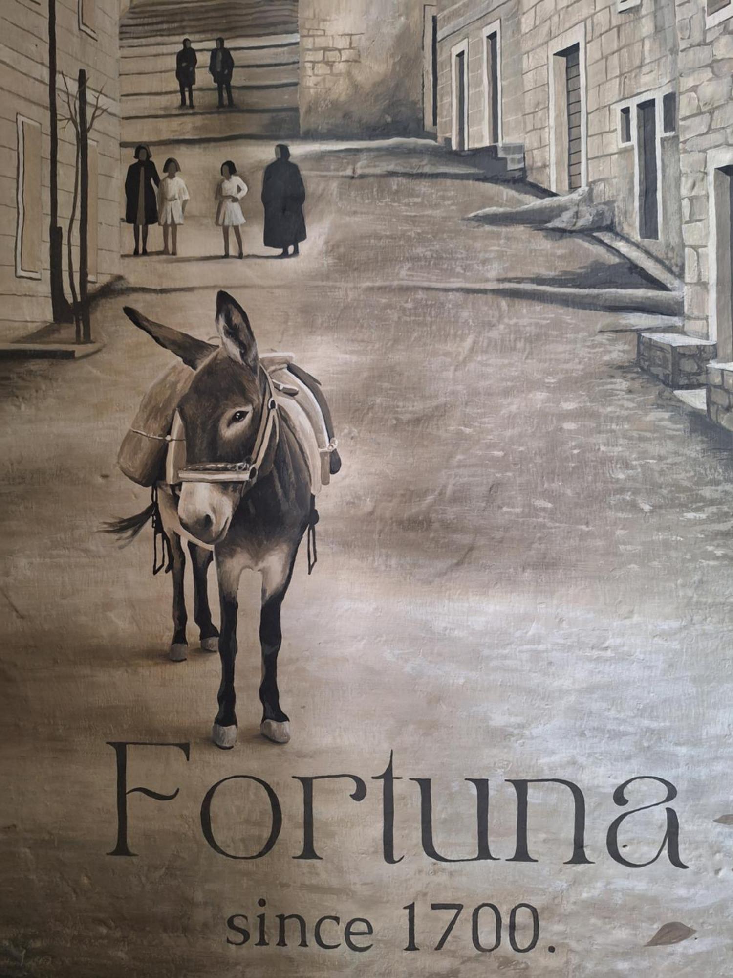 Fortuna Nerezisca المظهر الخارجي الصورة